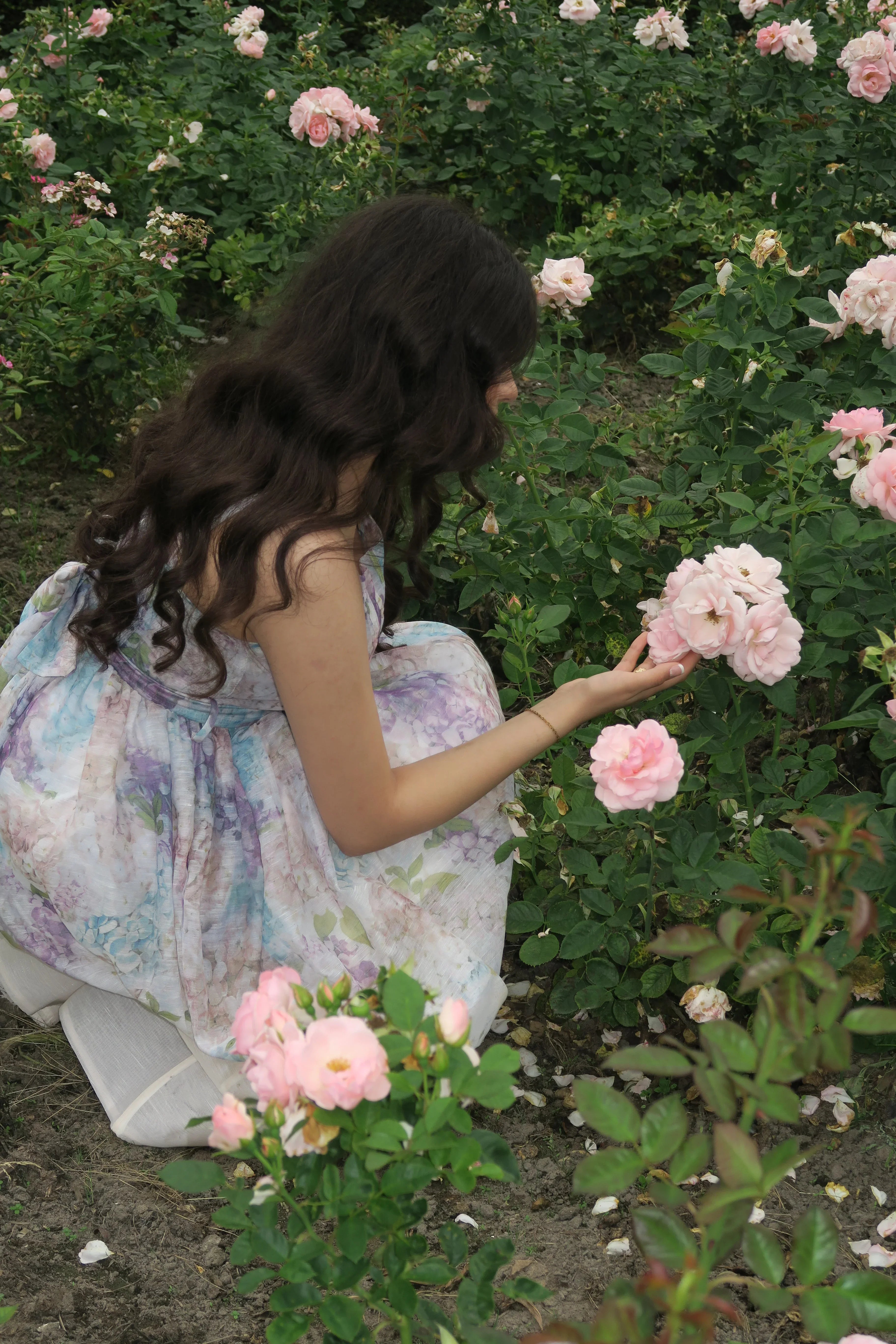Young woman in floral dress crouching in a garden, touching pink roses among green foliage